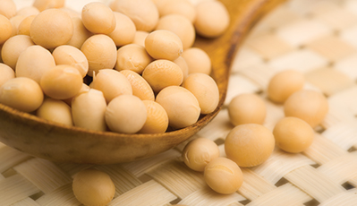 ��˹��--ȫ�����ݻ�����Ϸƽ̨