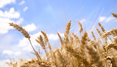 ��˹��--ȫ�����ݻ�����Ϸƽ̨