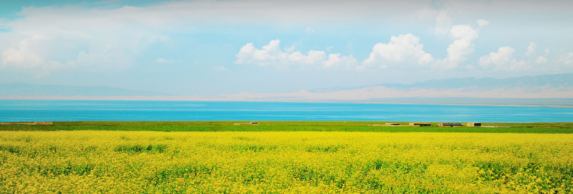 ��Ʒ�����