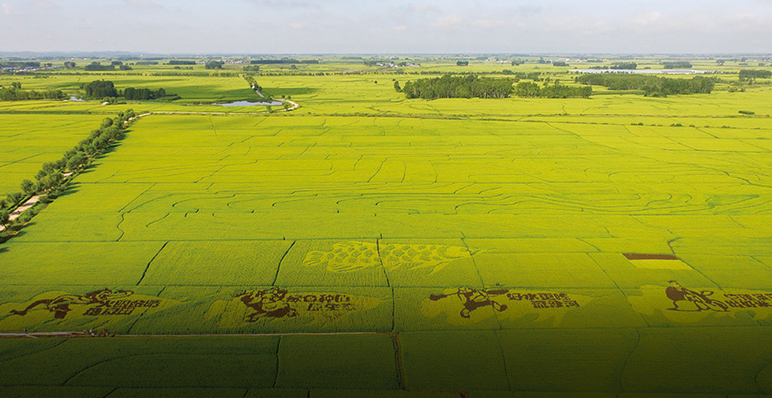 ��˹��--ȫ�����ݻ�����Ϸƽ̨