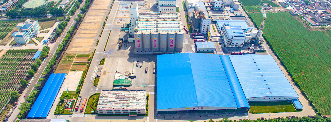 ��˹��--ȫ�����ݻ�����Ϸƽ̨