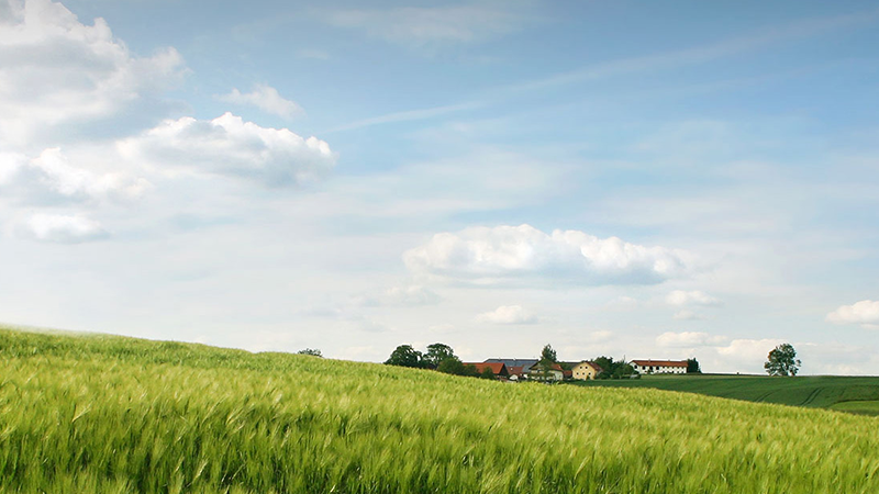 ��˹��--ȫ�����ݻ�����Ϸƽ̨