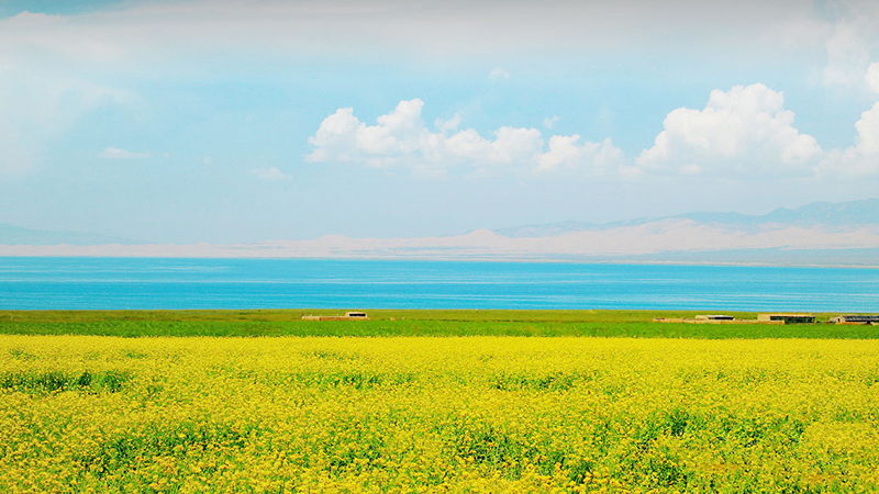 ��Ʒ�����