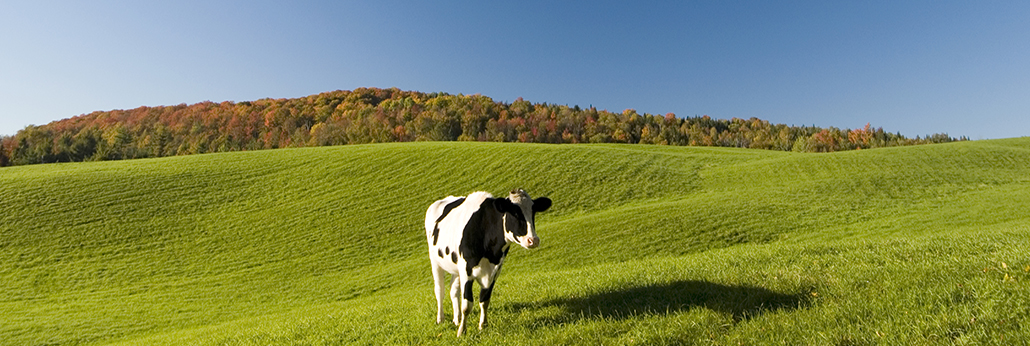 ����ԭ��