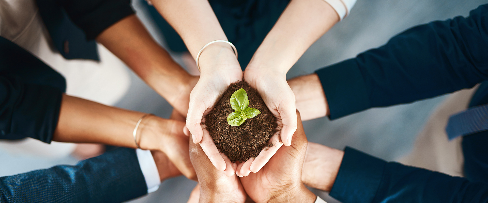 ������ʿ