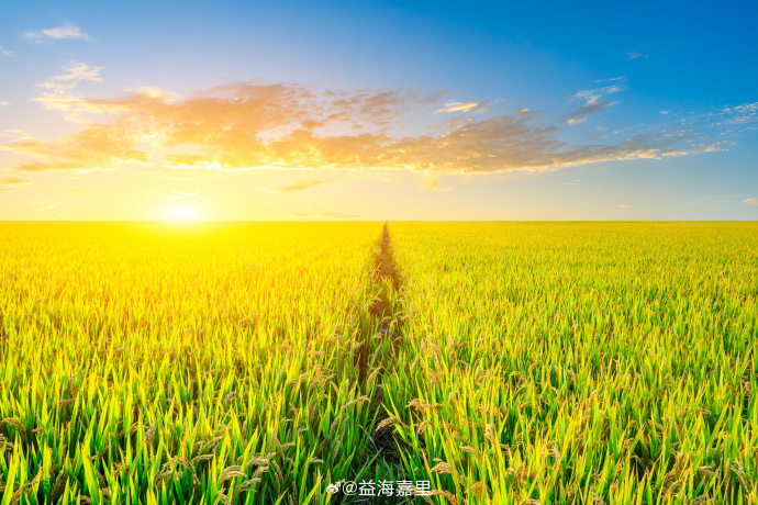 ��˹��--ȫ�����ݻ�����Ϸƽ̨